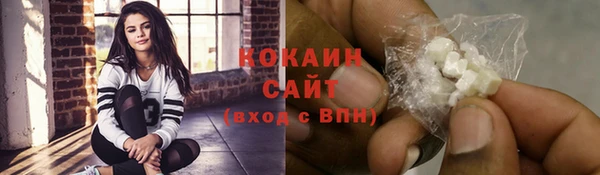 гашик Костерёво
