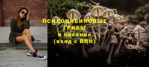 молекула духа Краснослободск