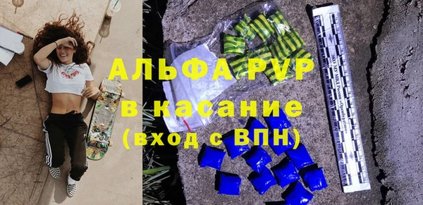 гашик Костерёво