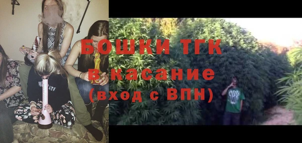 молекула духа Краснослободск