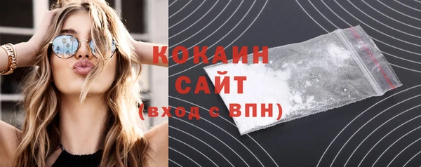 гашик Костерёво