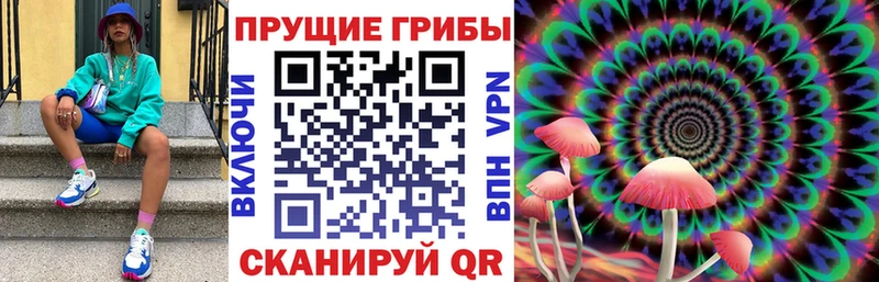 Галлюциногенные грибы Magic Shrooms  OMG как войти  Малмыж 